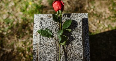 Rose auf Grabstein