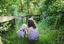 Mädchen mit Hund im Gras