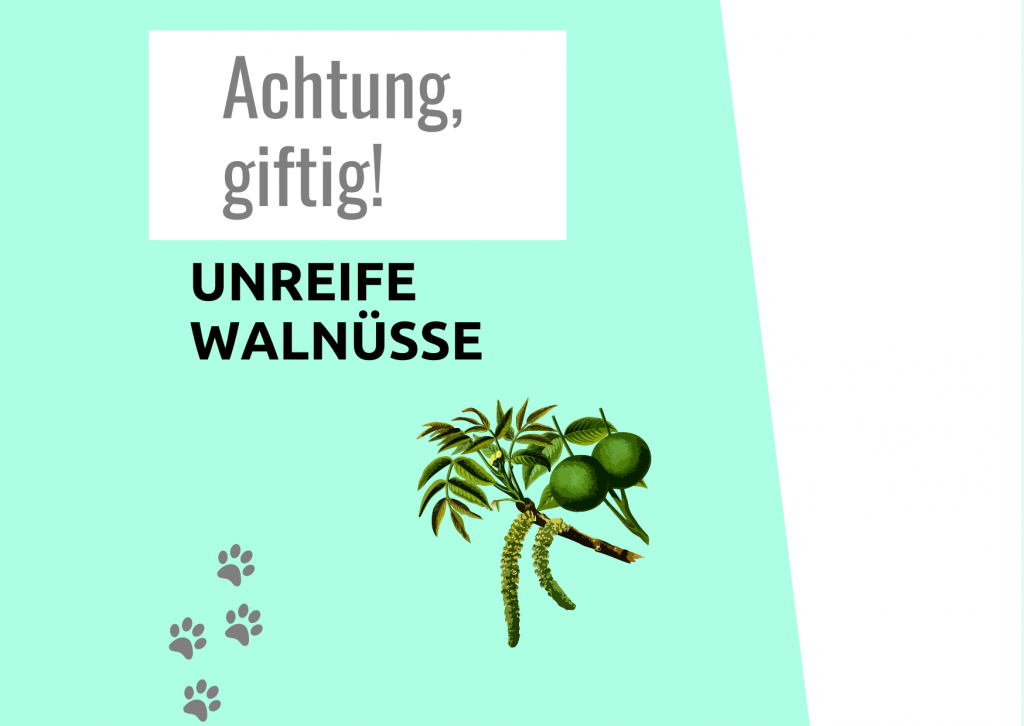 Giftig Grafik