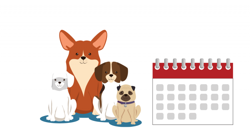 Comic-Hunde, daneben ein Comic-Kalender