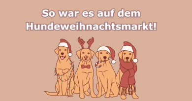 So war es auf dem Hundeweihnachtsmarkt - darunter Comichunde mit Weihnachtsmützen