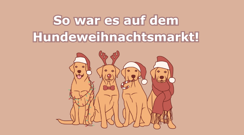 So war es auf dem Hundeweihnachtsmarkt - darunter Comichunde mit Weihnachtsmützen