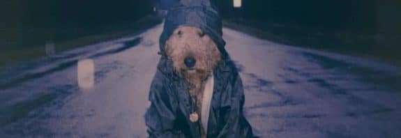 Hund im Regen