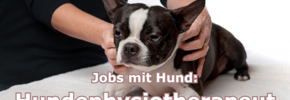 Zwei Menschenhände an einer Bulldoge. Schriftzug: Hundephysiotherapeut