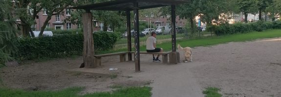 Hundeauslauf Dulsberg