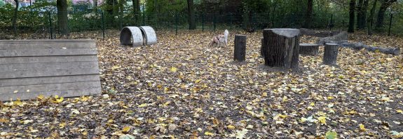 Hundeauslauffläche am Appelhofweiher