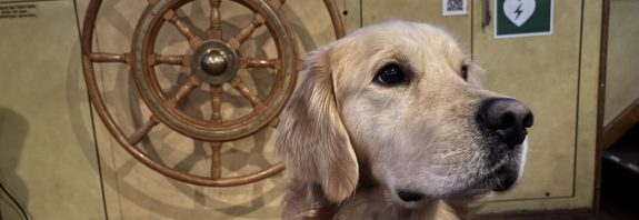 Goldie auf dem Alsterschiff