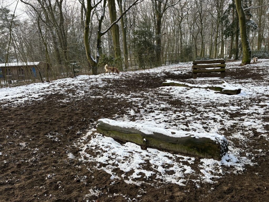 Umzäunter Auslauf Stadtpark