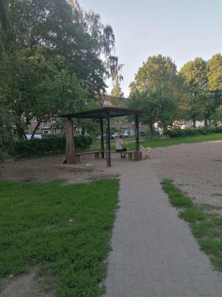 IMG 20230708 201605 1152x1536 1 768x1024