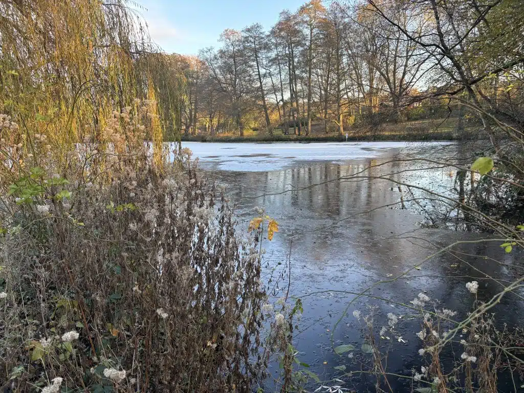 Hundewiese Göhlbachtal