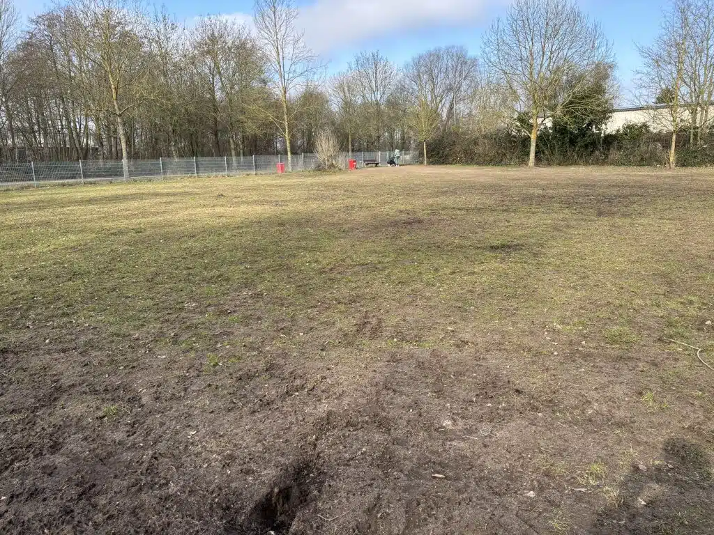 Umzäunter Hundeauslauf