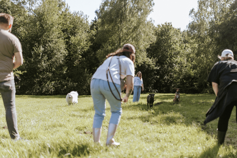 Design ohne Titel 3 768x512