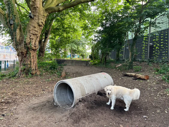 590F6601 8EAE 4D91 9270 24487CFC6B5B