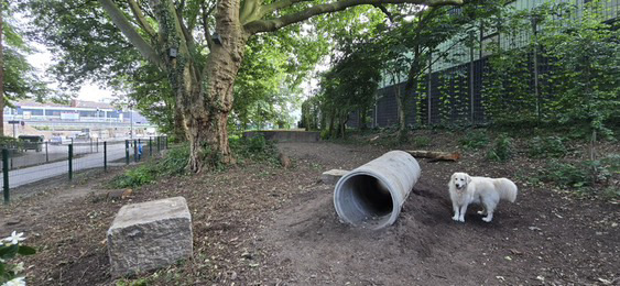 65139FC4 354D 443A 92B8 D9AC390D9899