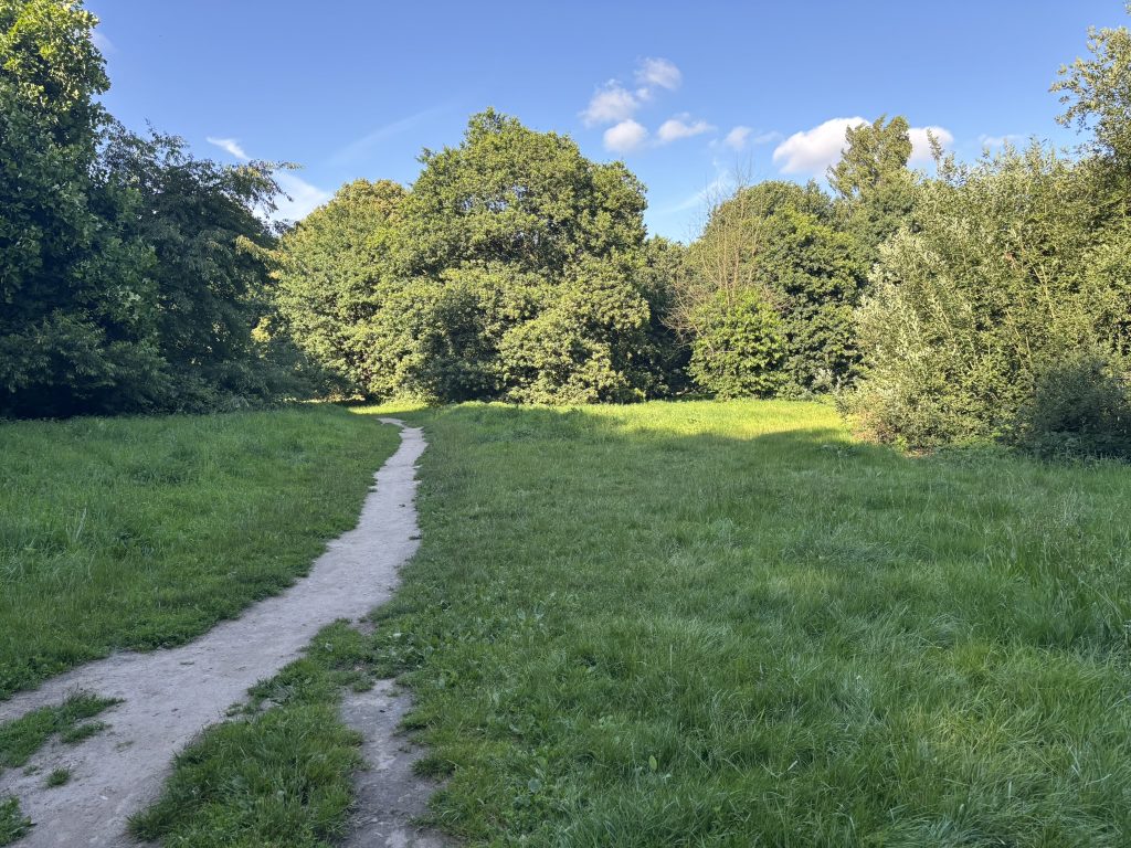 Auslauf Niendorfer Gehege
