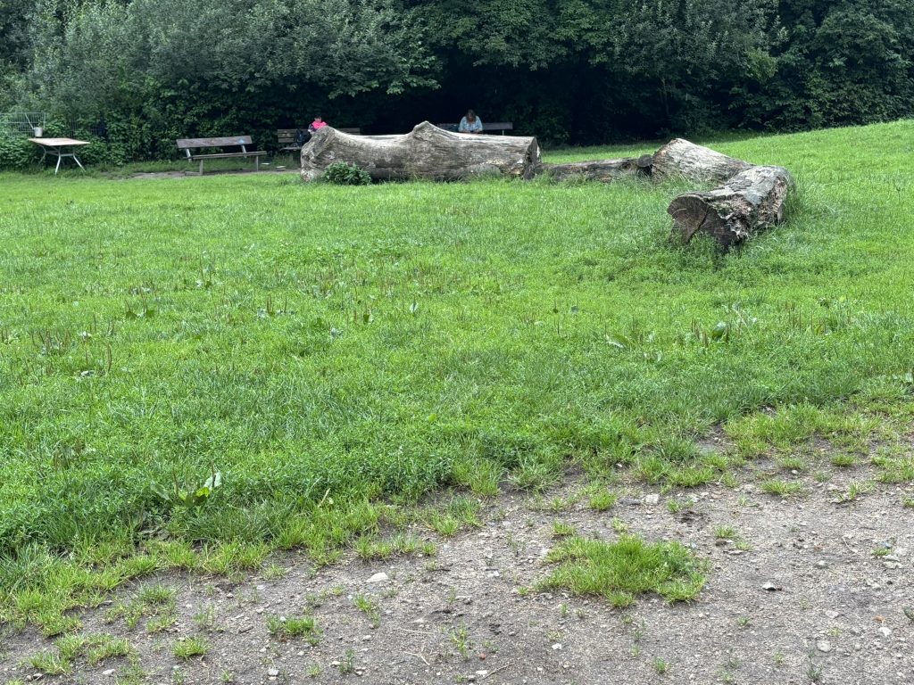 Baumstämme auf der Hundewiese Berner Heerweg 