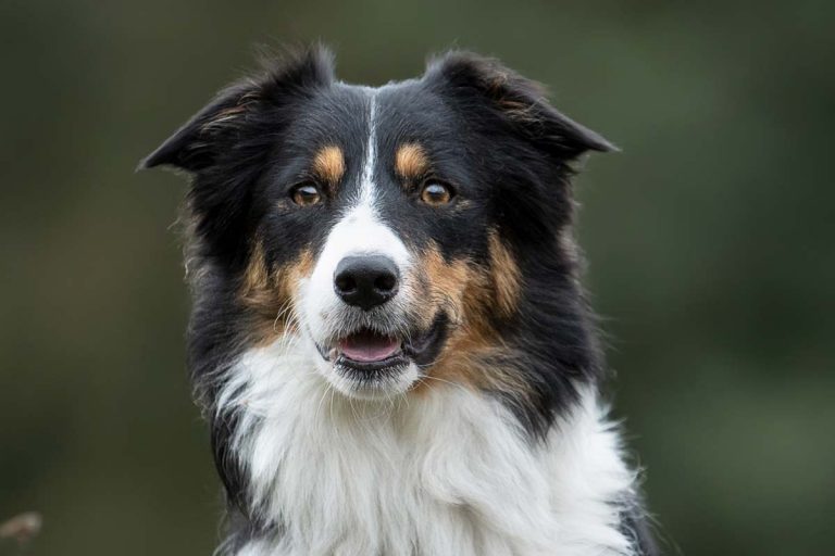 📷 Alle Bilder: Solgraphie 📷 Alle Bilder: Solgraphie