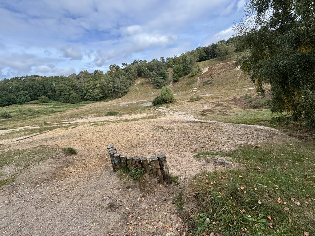Fischbeker Heide, Hundeauslauf