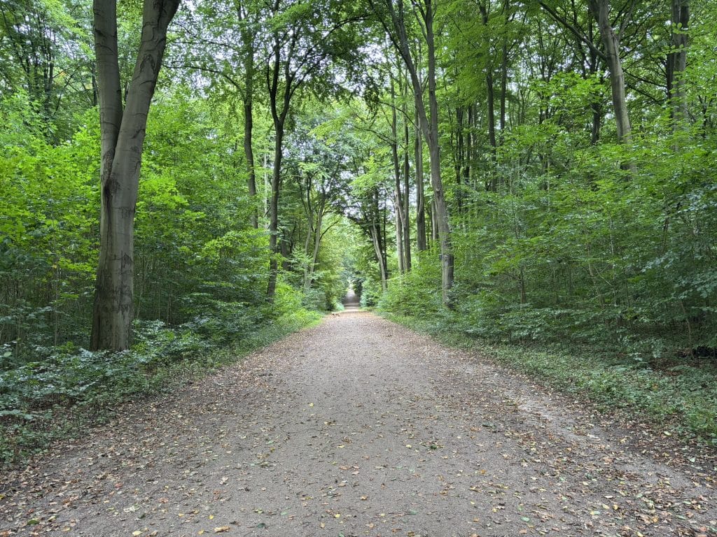 Volkspark Auslauffläche