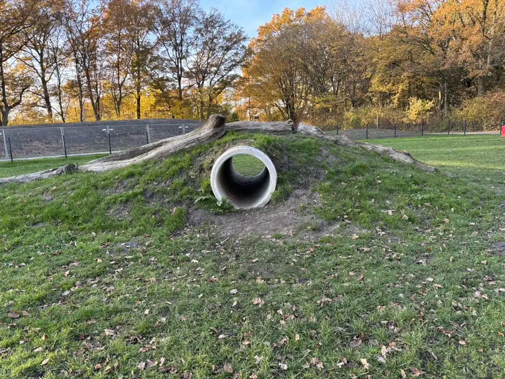 Hundewiese am Tegelsbarg mit Tunnel