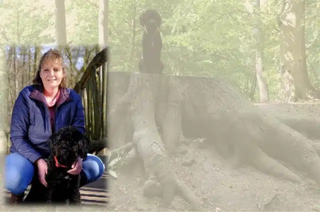 Mittel Titelbild neu