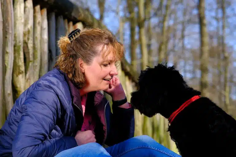 Tierschutzhunde 768x512