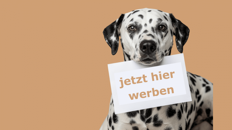 Kein Titel Website 1 768x432