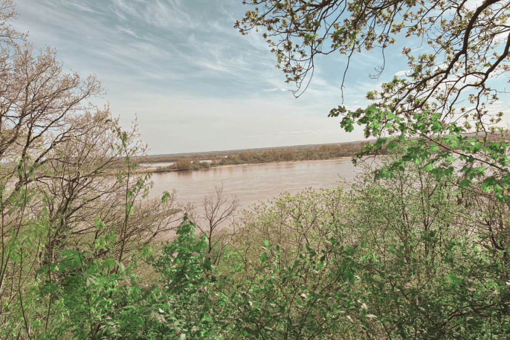Blick auf die Elbe