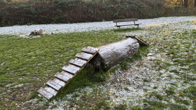 Design ohne Titel 768x432