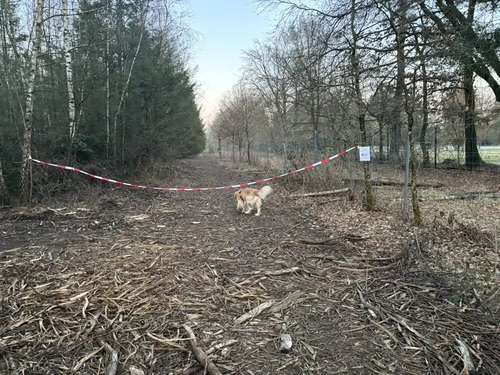 Hundewald Bockhorn Sperrung